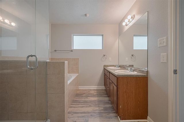 5009 Willow Point Drive, Conroe, TX 77303