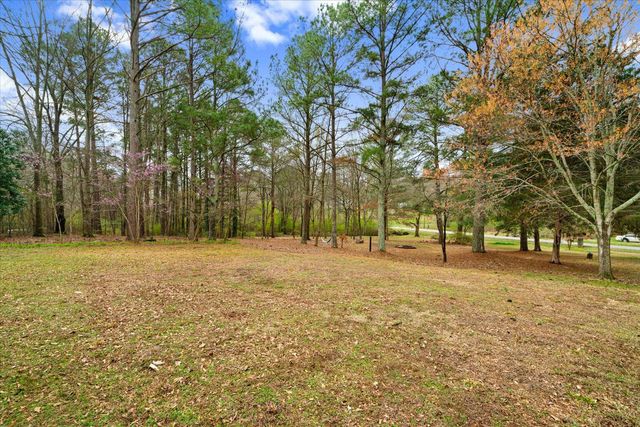 276 Catalina Drive, Chatsworth, GA 30705