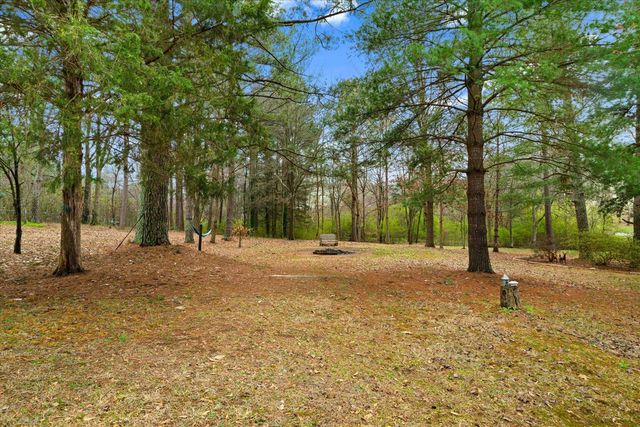 276 Catalina Drive, Chatsworth, GA 30705