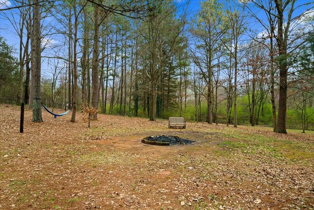 276 Catalina Drive, Chatsworth, GA 30705