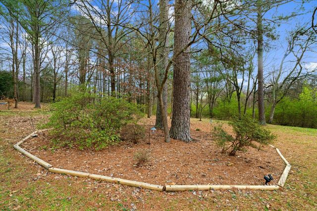 276 Catalina Drive, Chatsworth, GA 30705