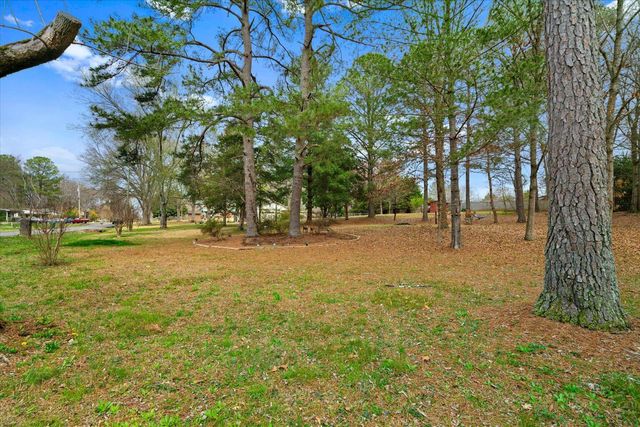 276 Catalina Drive, Chatsworth, GA 30705