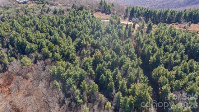 197 Eagle Bald Trail Lot 34, Burnsville, NC 28714