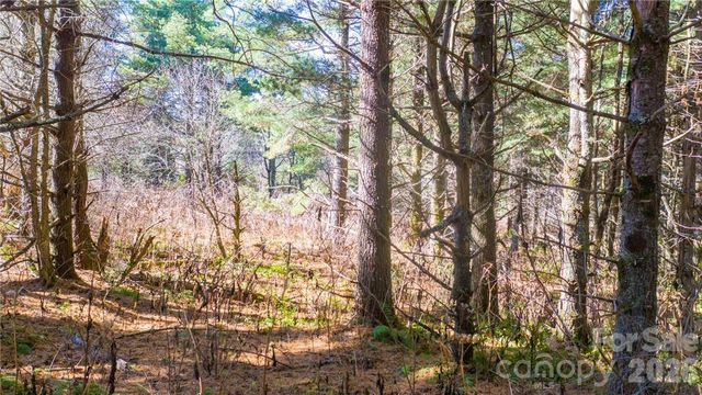 197 Eagle Bald Trail Lot 34, Burnsville, NC 28714