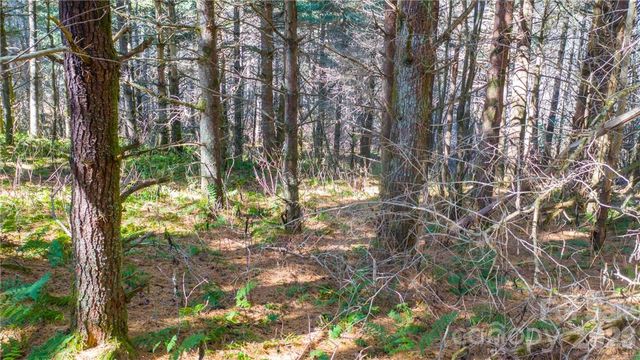 197 Eagle Bald Trail Lot 34, Burnsville, NC 28714