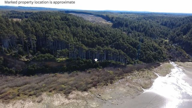 5 & 6 Roosevelt Beach Lots, Pacific Beach, WA 98571