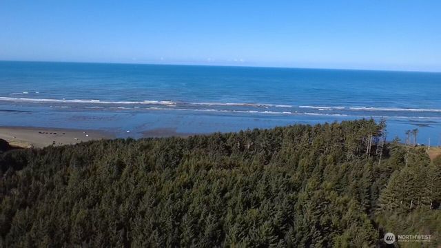 5 & 6 Roosevelt Beach Lots, Pacific Beach, WA 98571