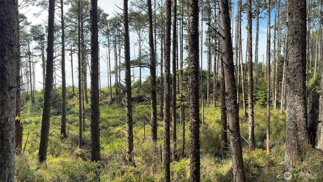 5 & 6 Roosevelt Beach Lots, Pacific Beach, WA 98571