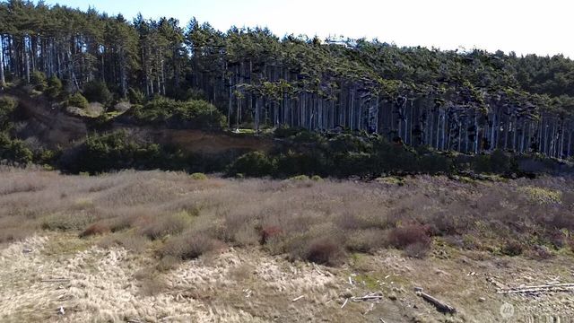5 & 6 Roosevelt Beach Lots, Pacific Beach, WA 98571