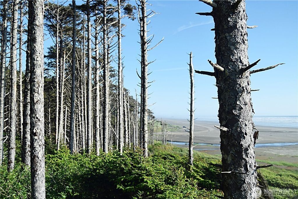 5 & 6 Roosevelt Beach Lots, Pacific Beach, WA 98571