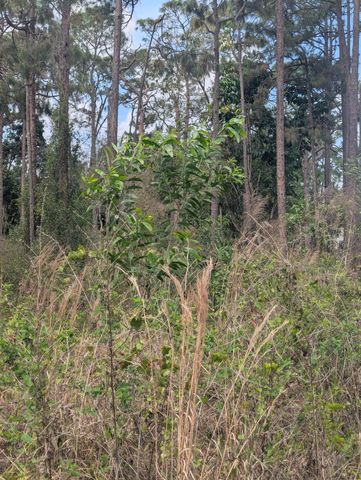 5421 Royal Palm Beach Boulevard, West Palm Beach, FL 33411