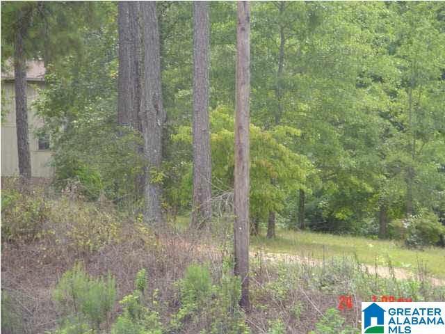 2335 19TH STREET, Pell City, AL 35128
