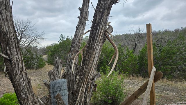 02 Newby Hills Ranch, Rocksprings, TX 78132