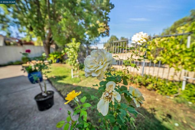 441 Apple Hill Drive, Brentwood, CA 94513