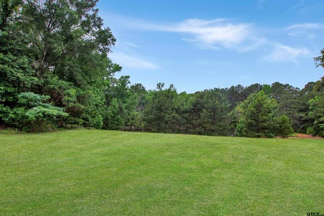 6233 Curtis Black Rd, Hallsville, TX 75650