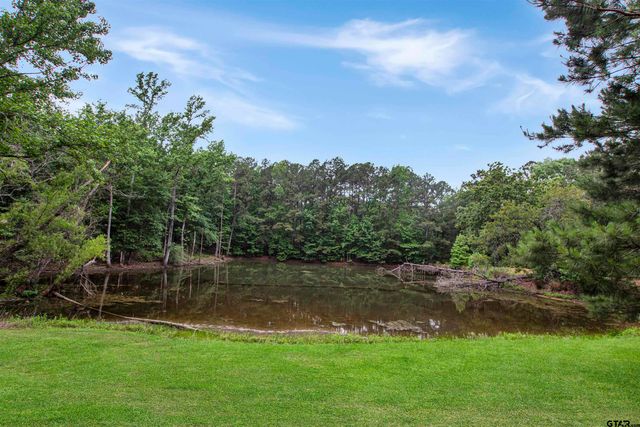 6233 Curtis Black Rd, Hallsville, TX 75650