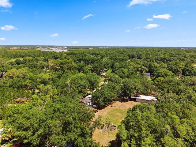 17214 CHINABERRY ROAD, Lutz, FL 33558