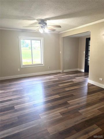 811 Andrews Street, Fredericktown, MO 63645