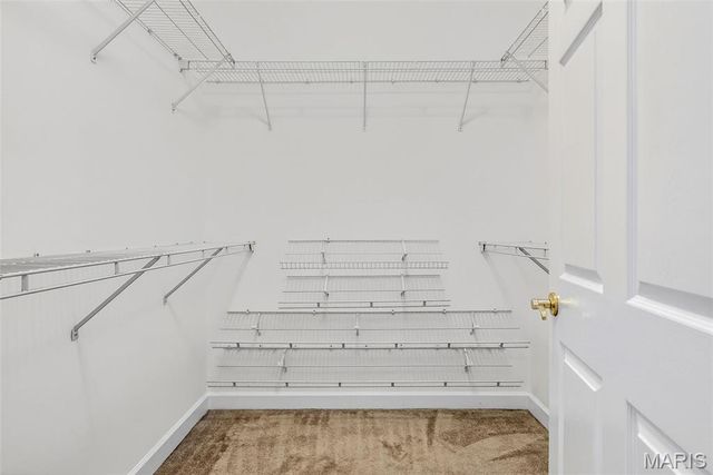 13115 Mill Crossing Court 205, St Louis, MO 63141