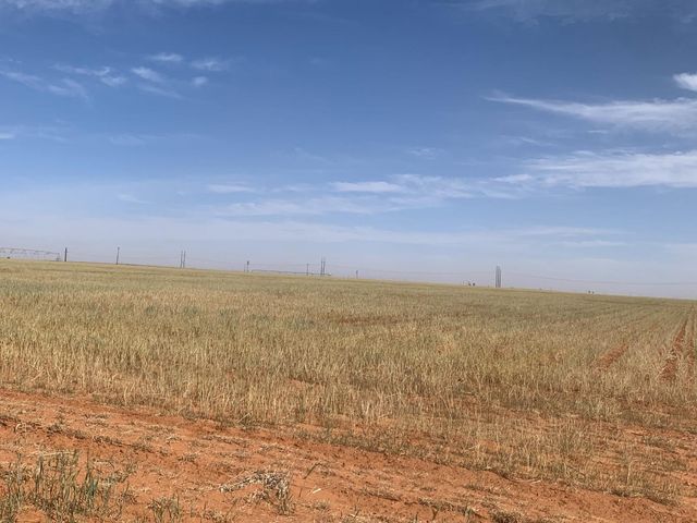 0 Tiger, Ropesville, TX 79358