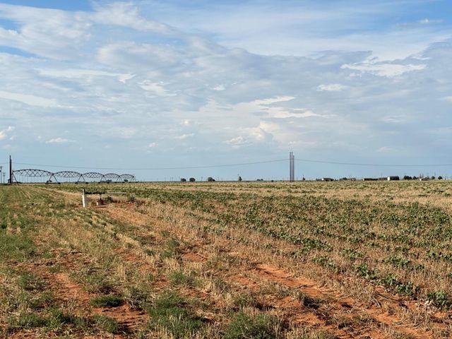 0 Tiger, Ropesville, TX 79358