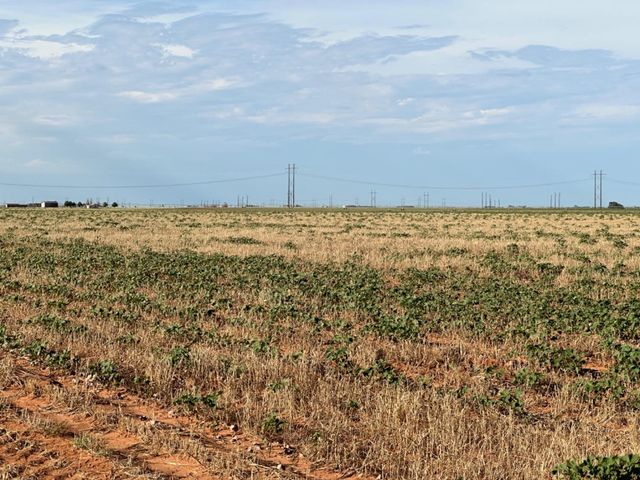 0 Tiger, Ropesville, TX 79358