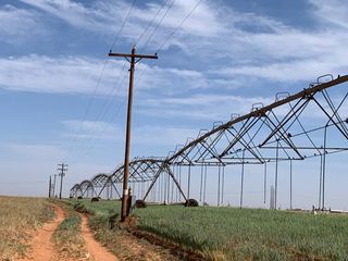 0 Tiger, Ropesville, TX 79358