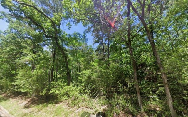 TBD Bay Hill Road, Huntsville, TX 77320