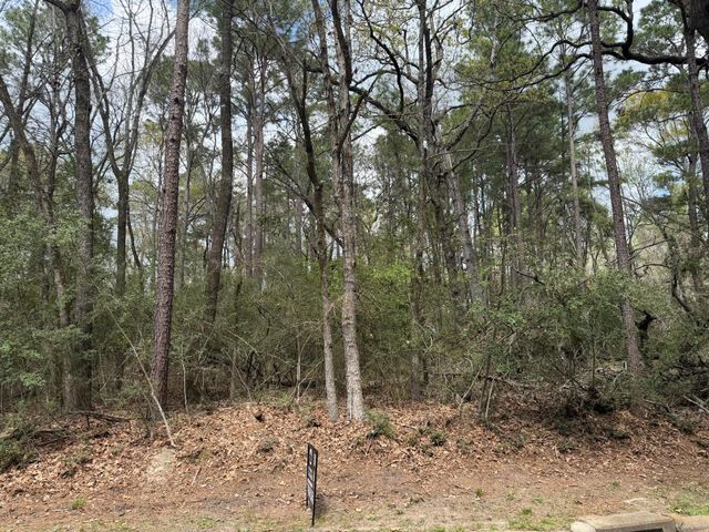 TBD Bay Hill Road, Huntsville, TX 77320