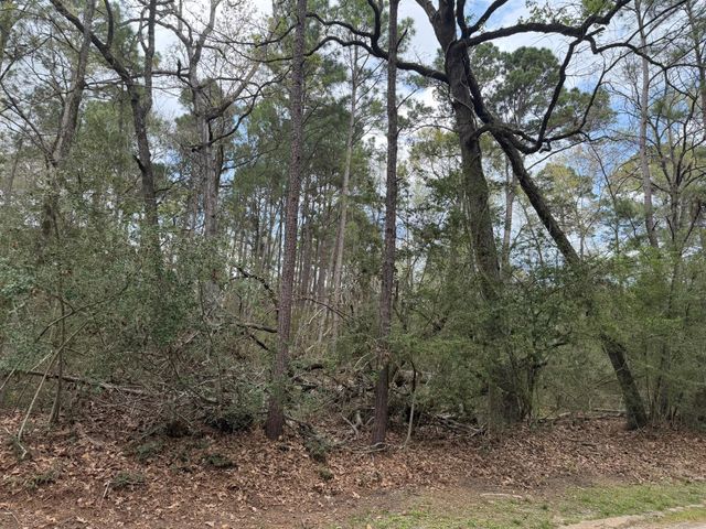 TBD Bay Hill Road, Huntsville, TX 77320