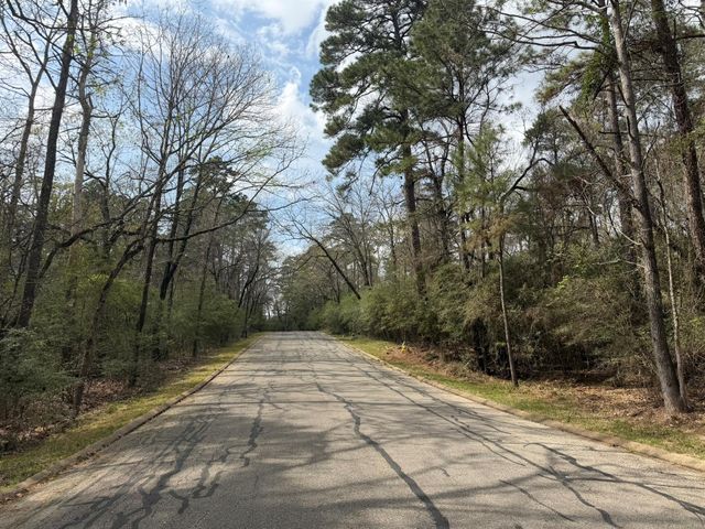 TBD Bay Hill Road, Huntsville, TX 77320