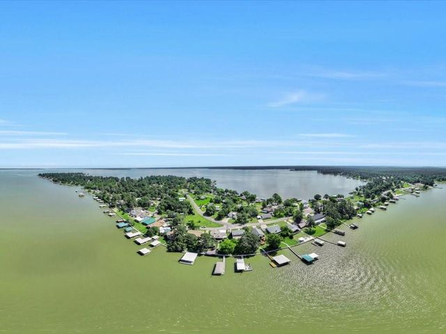 115 Harbor Addition Drive, Livingston, TX 77351