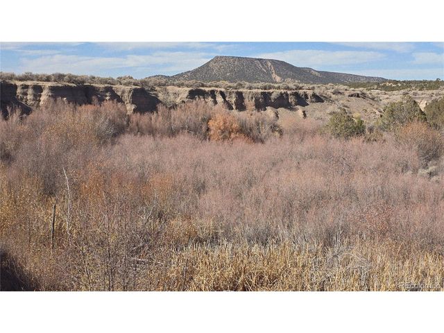 1768 Bateman Rd, Fort Garland, CO 81133