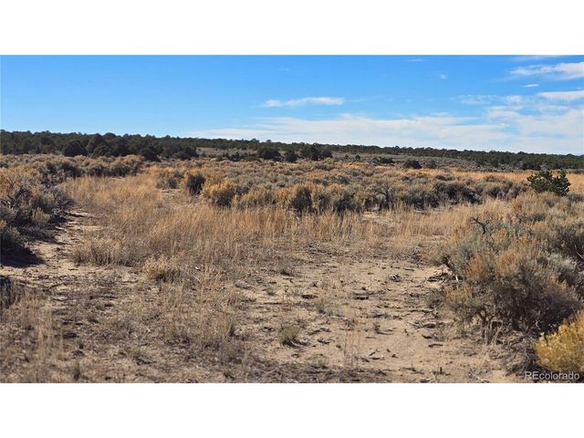 1768 Bateman Rd, Fort Garland, CO 81133