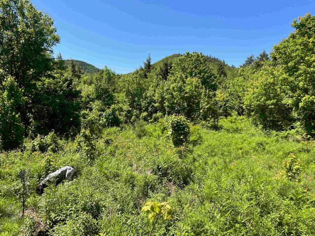 0 Alder Plains Road, Bradford, NH 03221