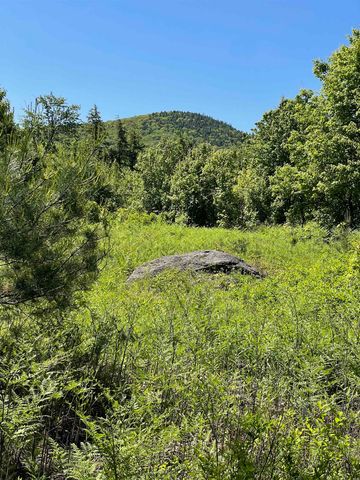 0 Alder Plains Road, Bradford, NH 03221