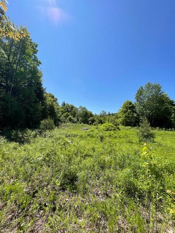0 Alder Plains Road, Bradford, NH 03221