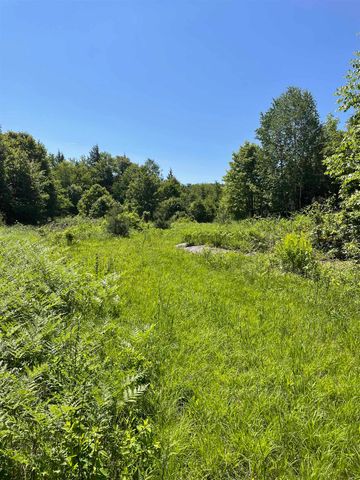 0 Alder Plains Road, Bradford, NH 03221