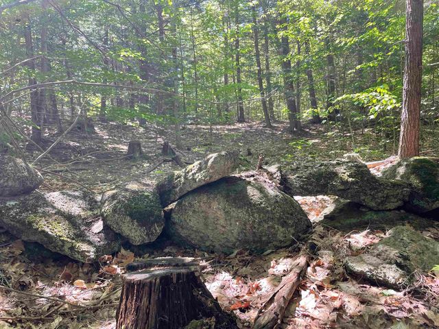 0 Alder Plains Road, Bradford, NH 03221