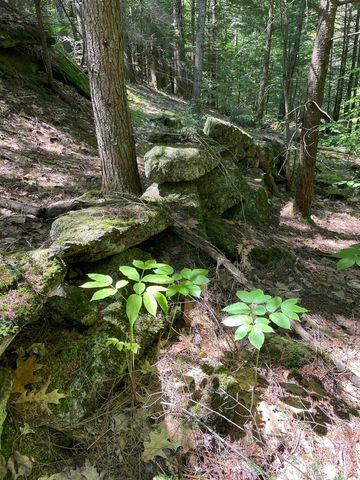 0 Alder Plains Road, Bradford, NH 03221