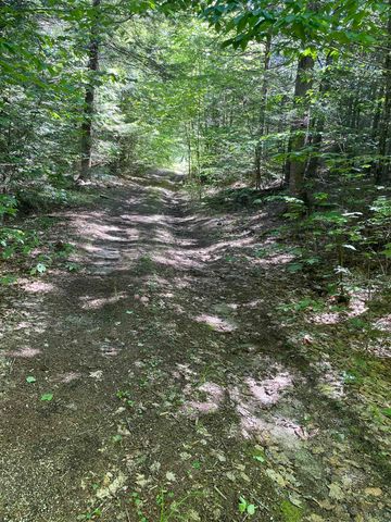 0 Alder Plains Road, Bradford, NH 03221