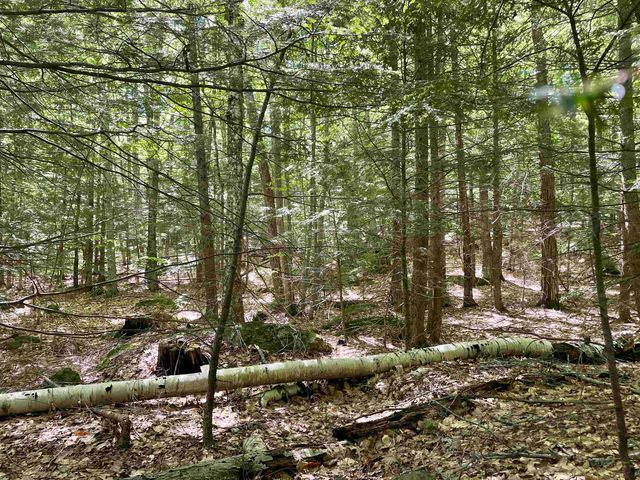 0 Alder Plains Road, Bradford, NH 03221