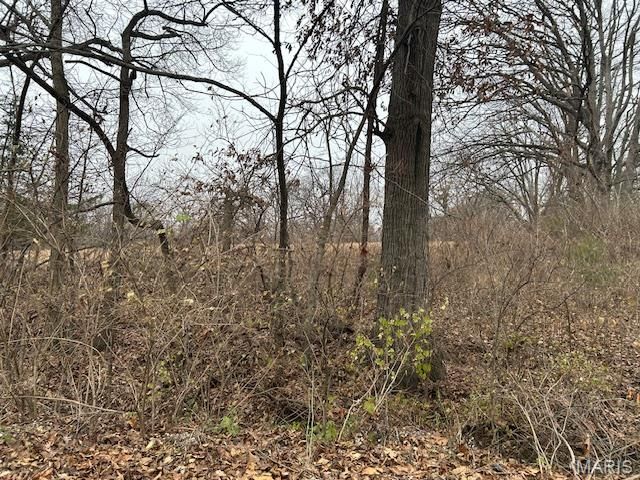 285 Graves, Foley, MO 63347