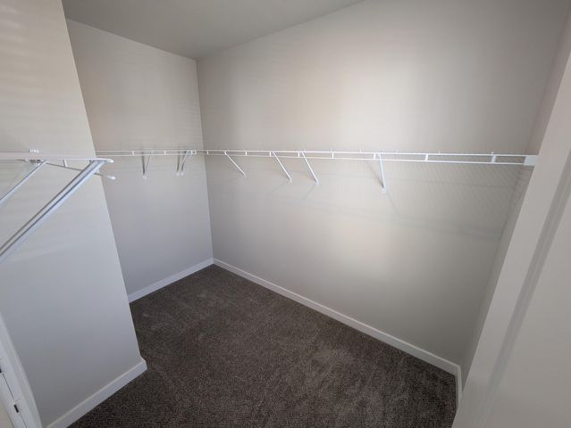 1005 Swamp Harrier Avenue, Ravenel, SC 29470