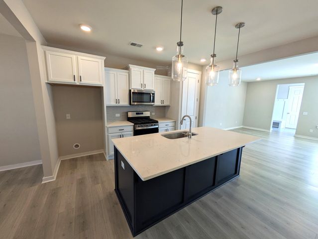 1005 Swamp Harrier Avenue, Ravenel, SC 29470