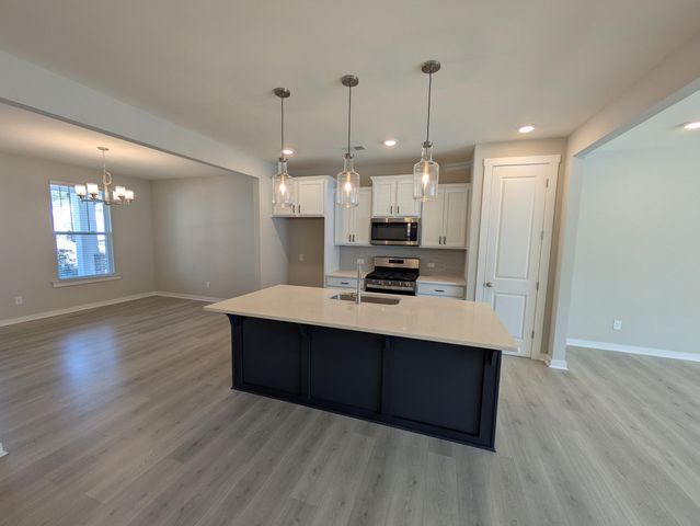 1005 Swamp Harrier Avenue, Ravenel, SC 29470