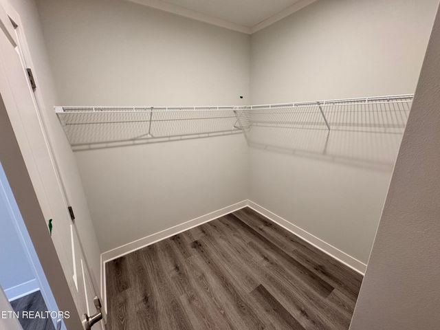 3736 Crimson Clover Lane Lane, Knoxville, TN 37924