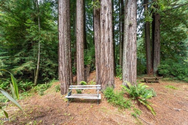 31001 Simpson Lane, Fort Bragg, CA 95437