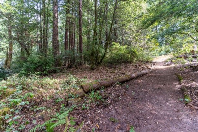 31001 Simpson Lane, Fort Bragg, CA 95437