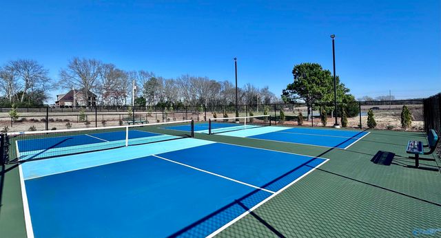 201 Camberly Cove Lane, Meridianville, AL 35759